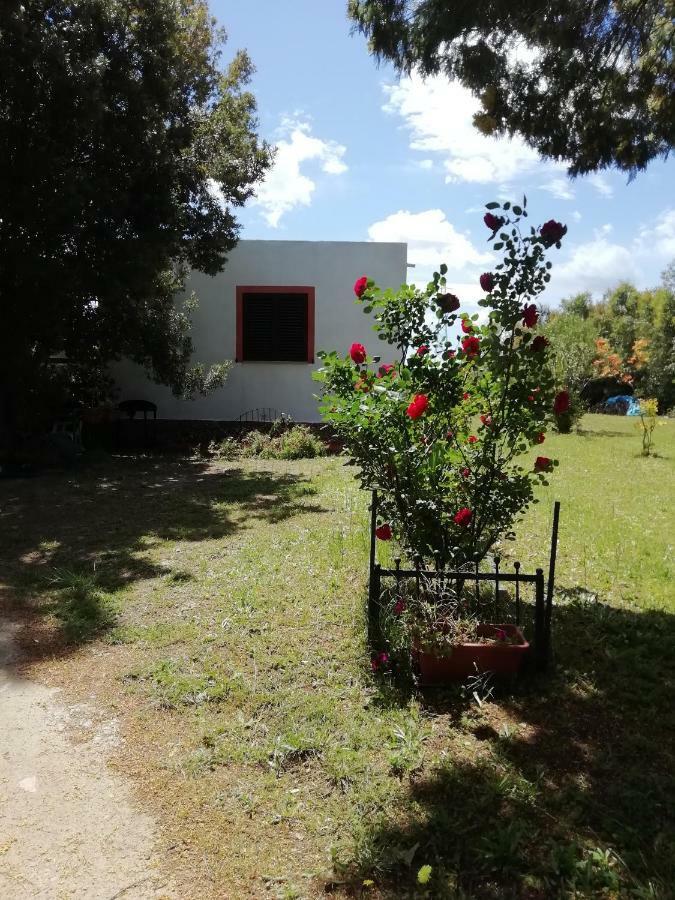 Stanais Villa Tortolì Екстериор снимка